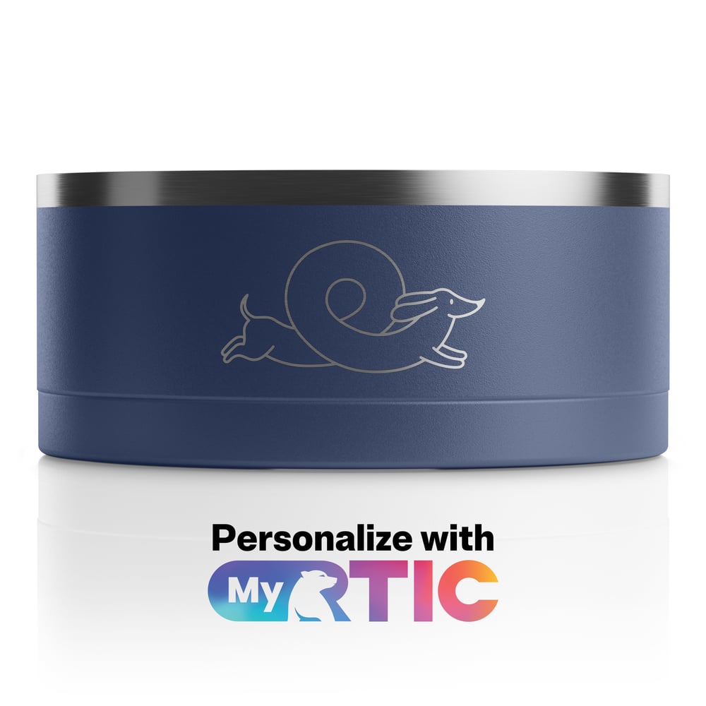 3-In-1 Dog Bowl Navy & Graphite